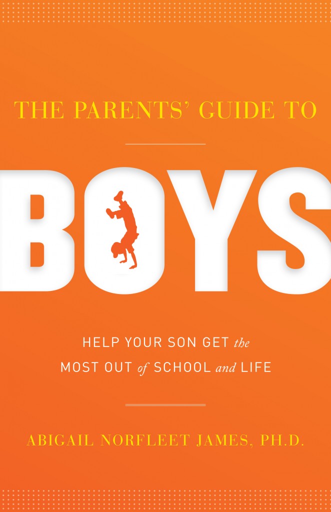 the parents' guide to boys cover image