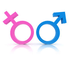 gender symbols image